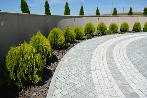 Best Custom Driveway Pavers  in Hagaman, NY